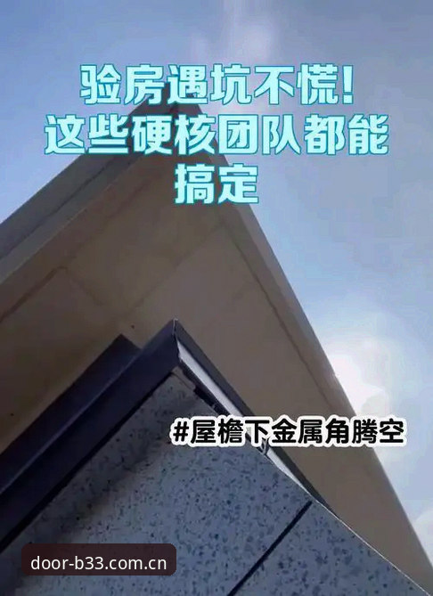 行家才选这扇门APP下载的7个硬核细节，老用户都在对照检查